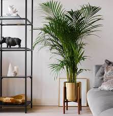 Buy Planter Covers in Pakistan for a Stylish Home Makeover - Grace International (Manufacturer)